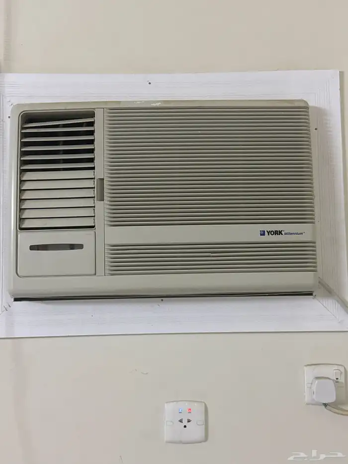 مقاس 24 كمبرشر كبير أمريكي 1