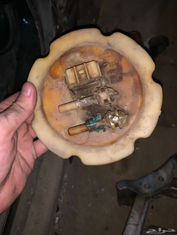 للبيع مكسيما 1