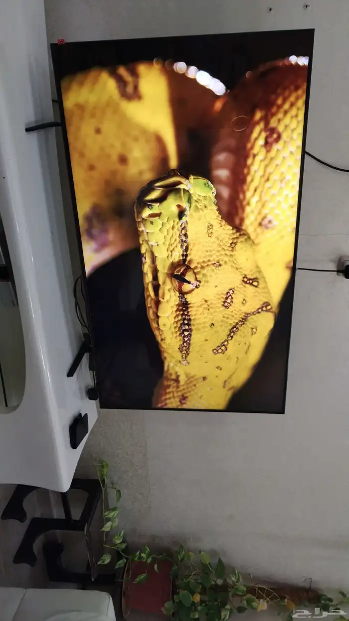 شاشة 55 سامسونق 4k 4