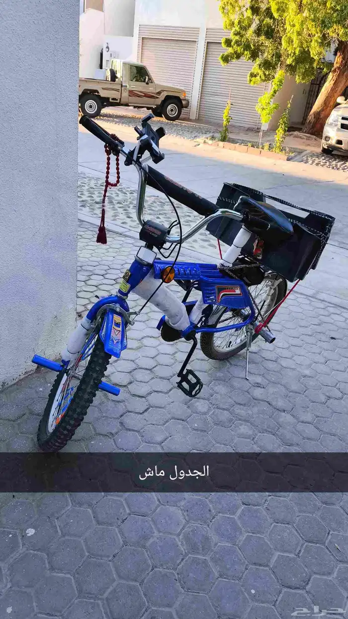 سيكل  دراجة رامبو ALSFEER ازرق شرط. 1