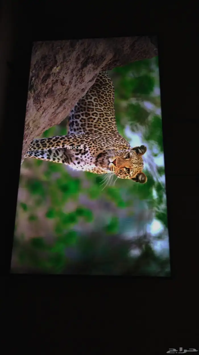 شاشة 55 سامسونق 4k 1