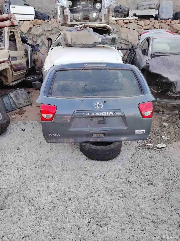 بيبان السكويا 2016 باب شمطه وبيبان يمين 0