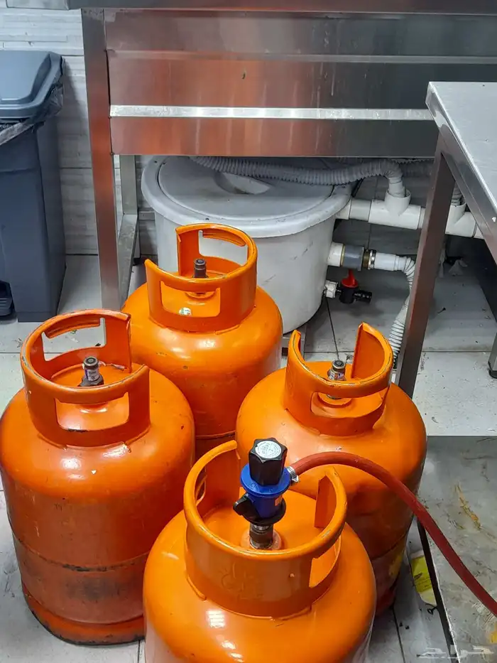 شباب بالنسبه لعده البوفيه كامله ابغا فيها 18 1