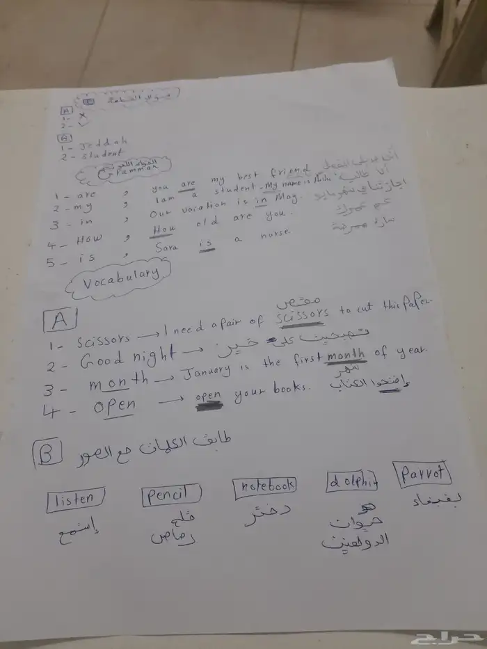 معلمة دروس خصوصية لغة إنجليزية رياضيات لغتي تأسيس ومتابعة 1