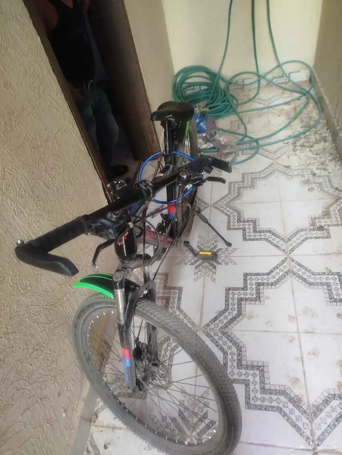 عجله مقاس 26 21سرعه استخدام 3اشهر 2