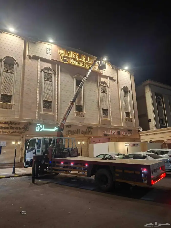 دينا ونش سله 0