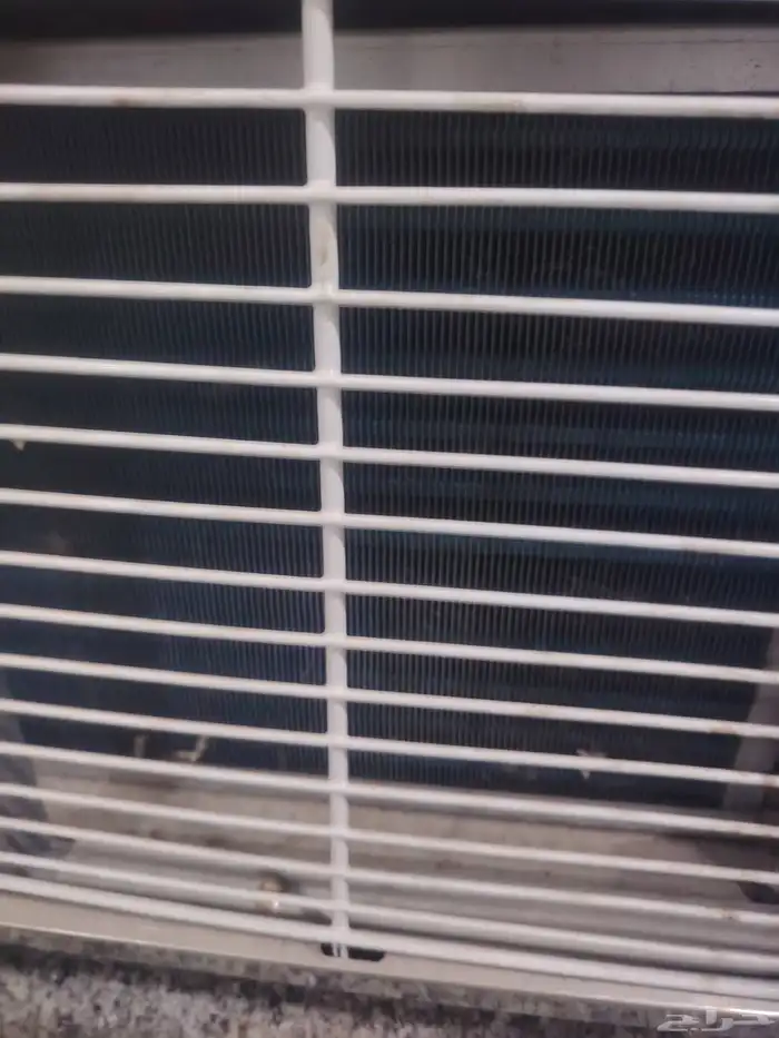 ثلاجه عرض جيلاتو 5