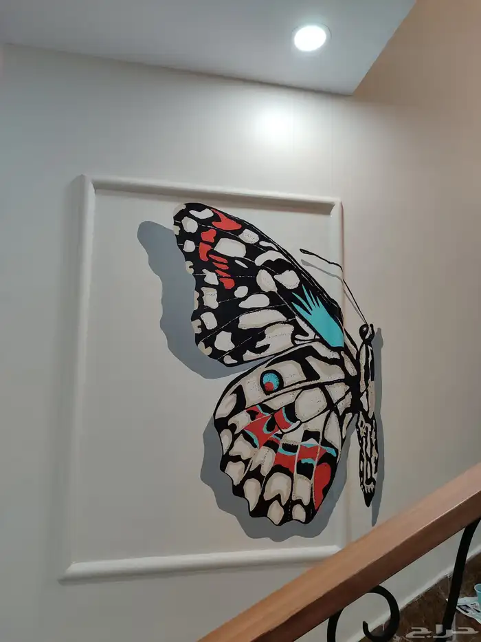 رسام محترف دقه وجوده كافيهات روضات مدارس مغاسل السيارات 5