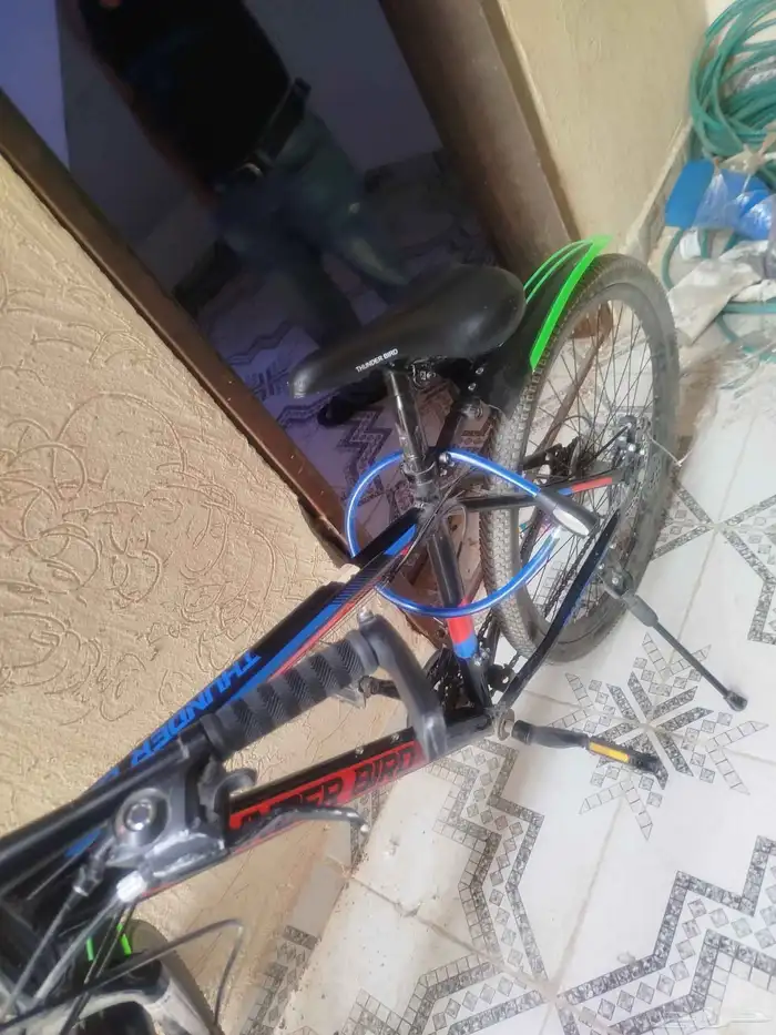 عجله مقاس 26 21سرعه استخدام 3اشهر 0