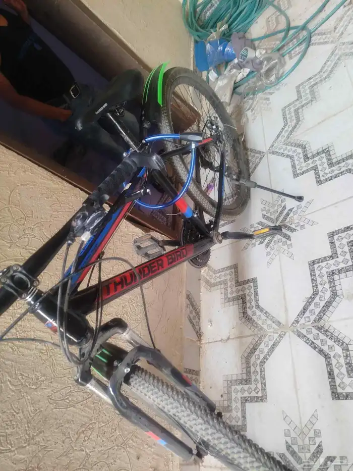 عجله مقاس 26 21سرعه استخدام 3اشهر 1