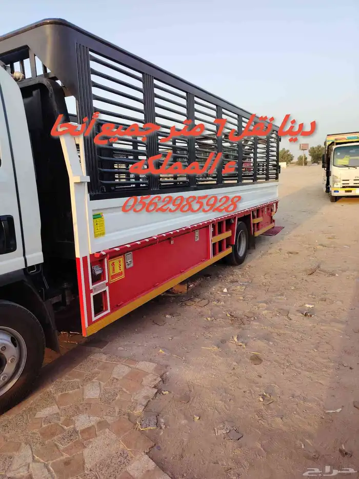 شمس دينا 6 متر من الرياض 0