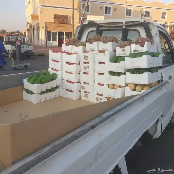 دباب توصيل مشاوير وعفش وبضايع داخل تبوك جوال 2