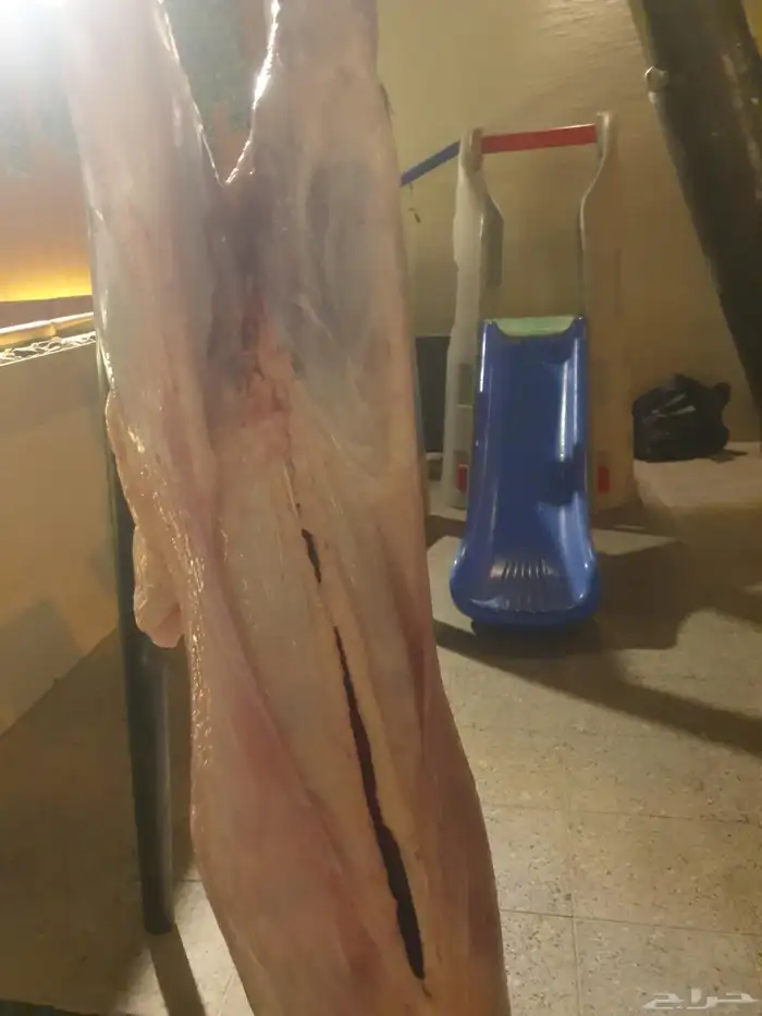 مشويات معلم مشاوي شوي خارجي دوار السعادة 4