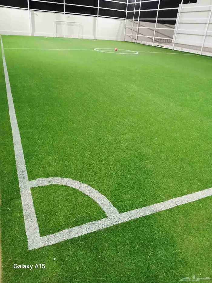 تدريب كرة قدم وسباحة 0