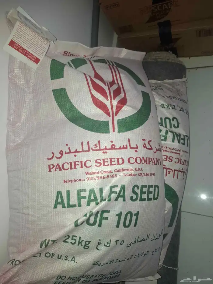 بذر برسيم للبيع 0