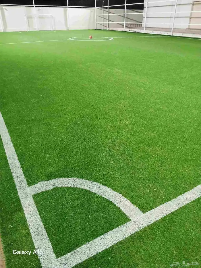 تدريب كرة قدم وسباحة 1