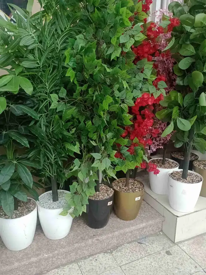 مقاول تنسيق حدائق منازليه وخارجيه 2