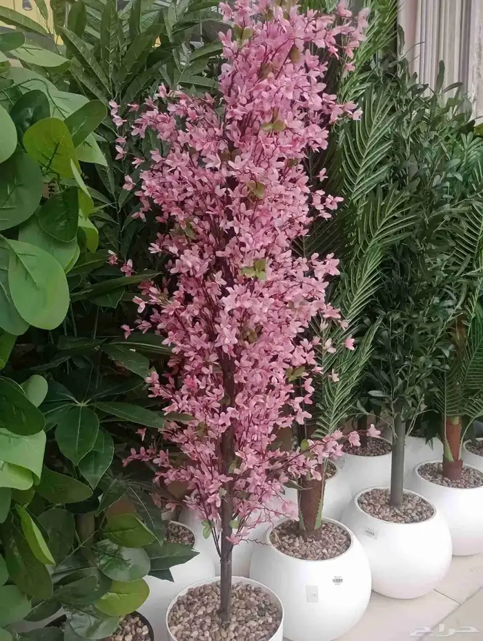 مقاول تنسيق حدائق منازليه وخارجيه 0