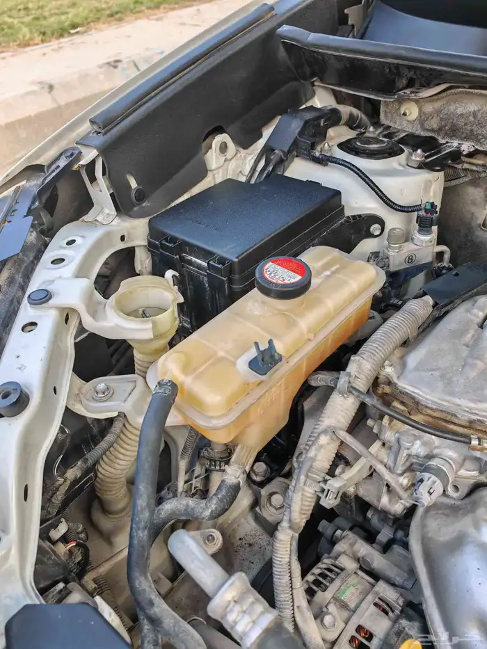 راف فور 2016 قمة النظافه 13