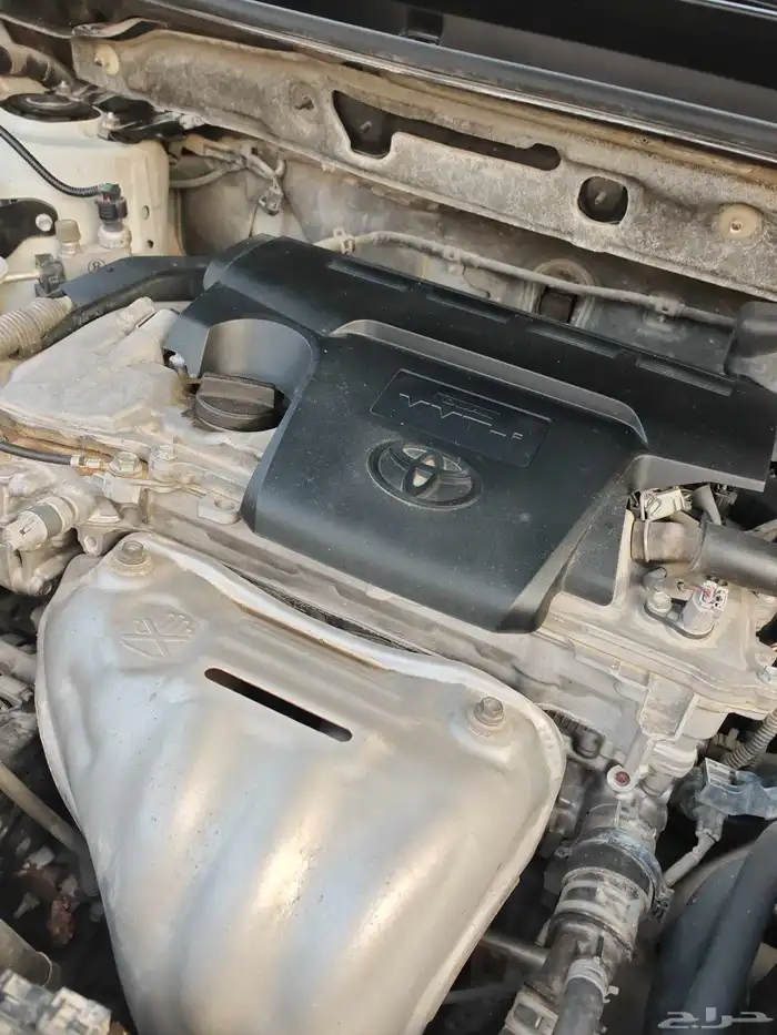 راف فور 2016 قمة النظافه 12