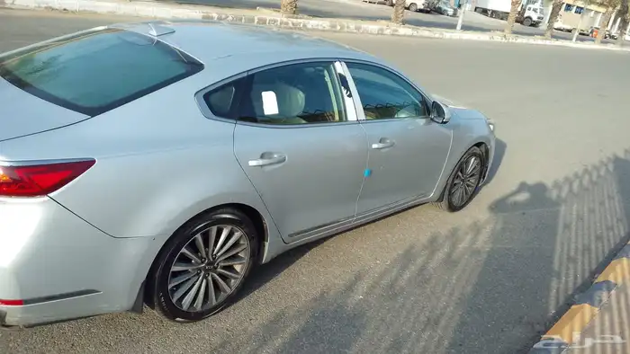 كادينزا 2020 5