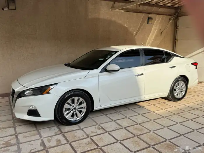 التيما 22 ابيض 1