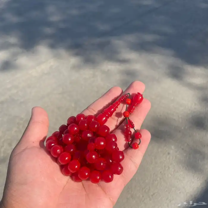 فاتوران كرزي 0