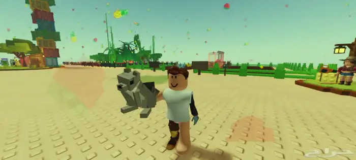 حساب روبلوكس 8