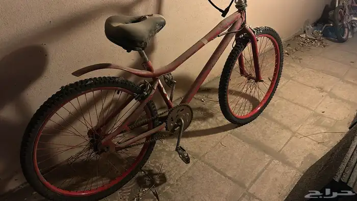 دراجة كوبرا مقاس 26 استخدام شهرين ما في ولا ملاحظات 2