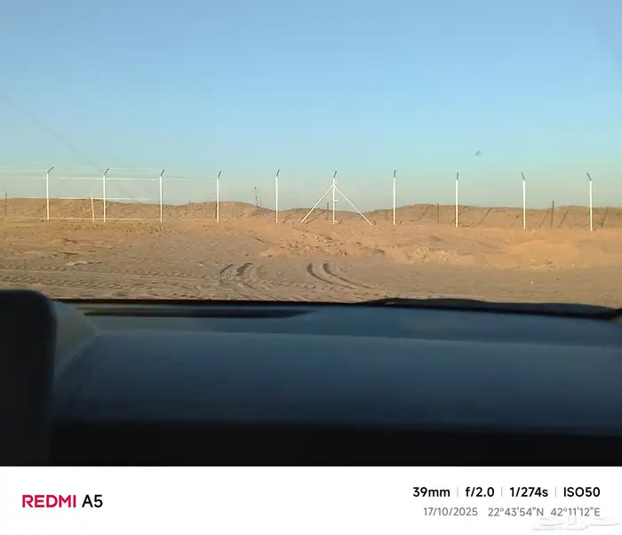 يوجد لدينا توريد جميع انواع نخيل وشبوك 6