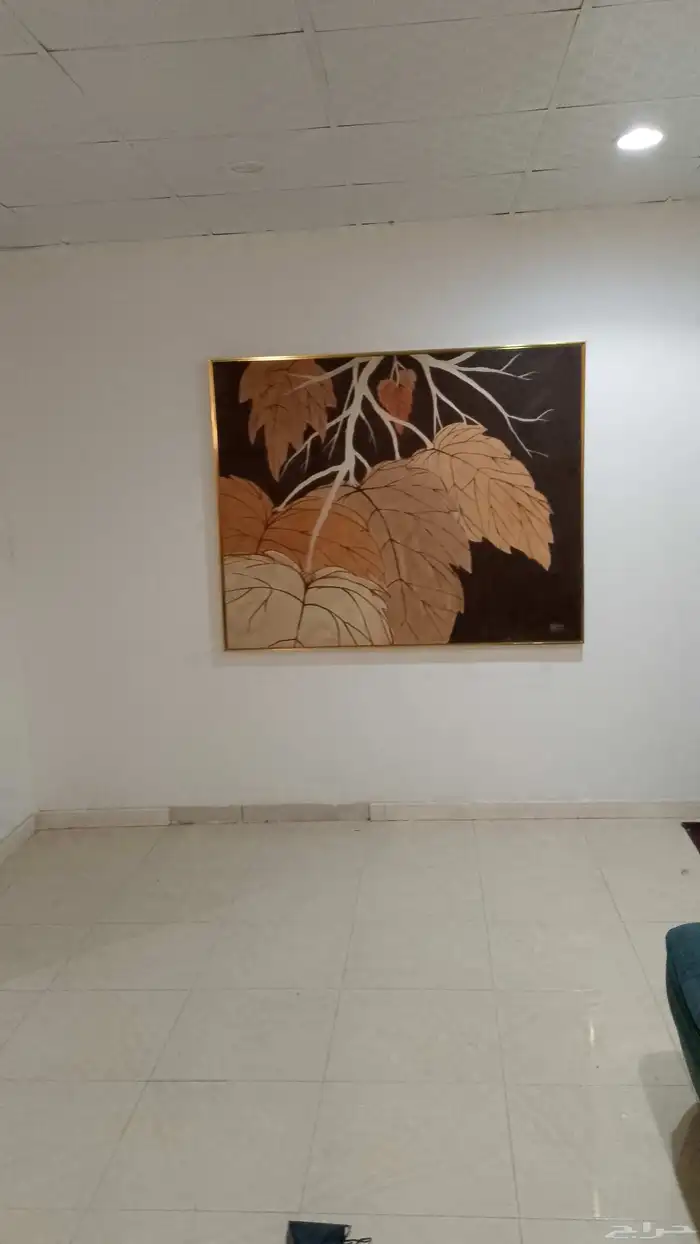 زوليه إيرانيه قديم وتاج خزنه قديم ولوحه مرسومه بفن 8