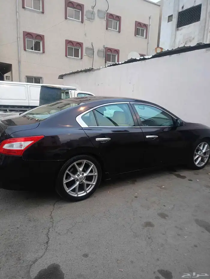 نيسان مكسيما موديل 2010 3