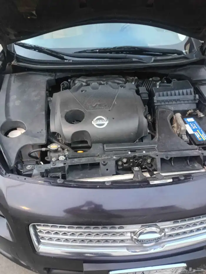 نيسان مكسيما موديل 2010 7