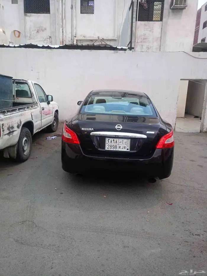 نيسان مكسيما موديل 2010 1