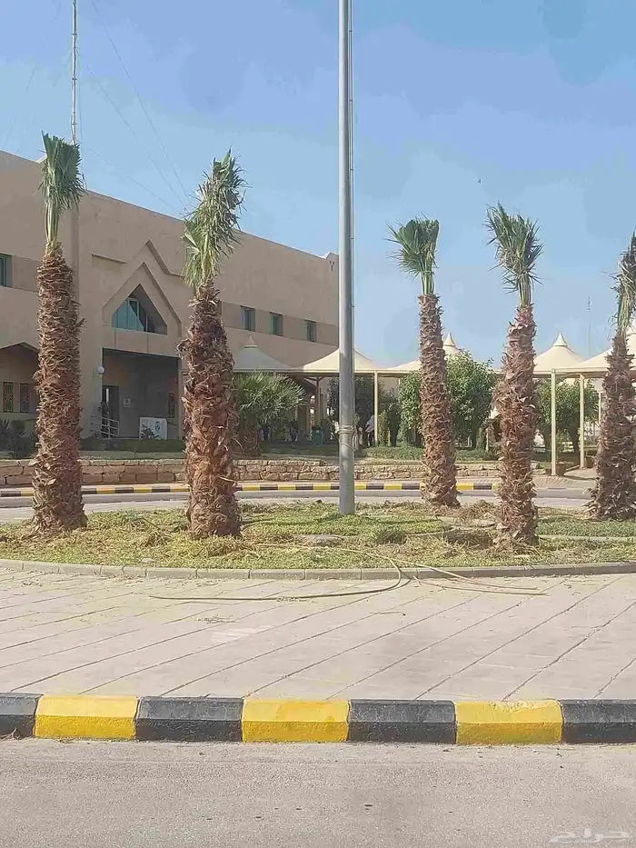 مشاتل الدمام تنسيق حدائق للاشجار السمكات 6