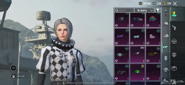 حساب ببجي للبيع رخيص 29