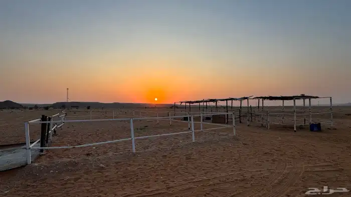 بادوك خيل غرف حديد تيوب 1