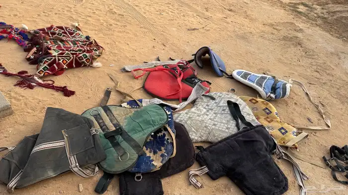 مستلزمات خيول 8