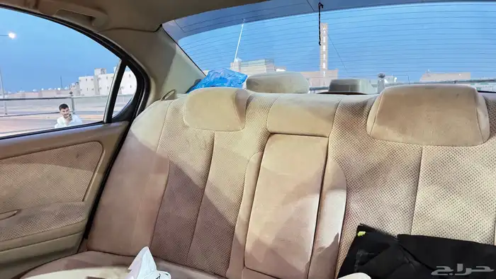 مكسيما 2008 15