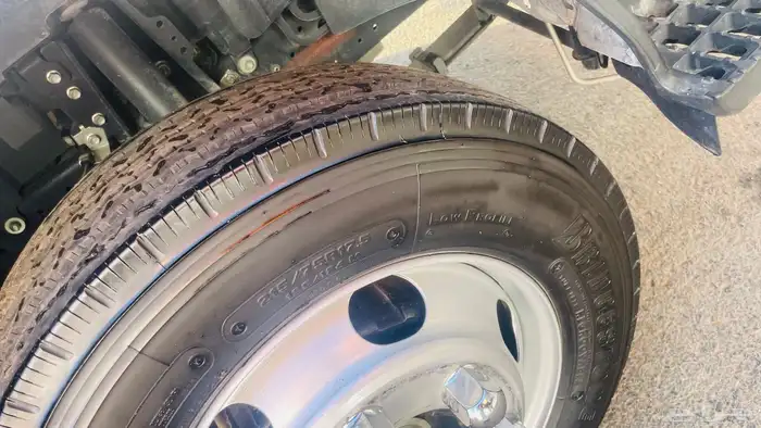 للبيع دينا ايسوزو 2023 6