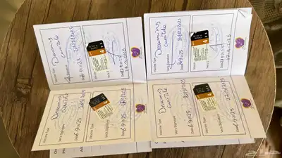 قطة للبيع شكوتش فولد وهملايا index