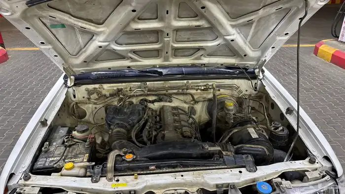 ددسن 2005 شرط مرشوش تجميلي 18