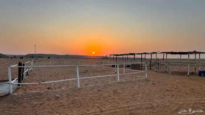 بادوك خيل غرف حديد تيوب 0