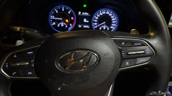 بالسيد ديزل ابيض 2021 17