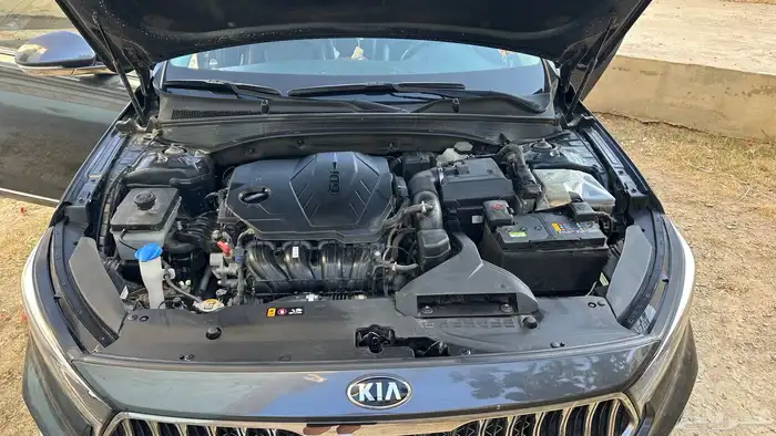 كادينزا 2020 وارد كوريا 10