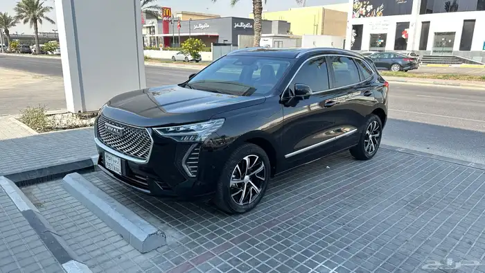 هافال جوليان Premium 2024 3