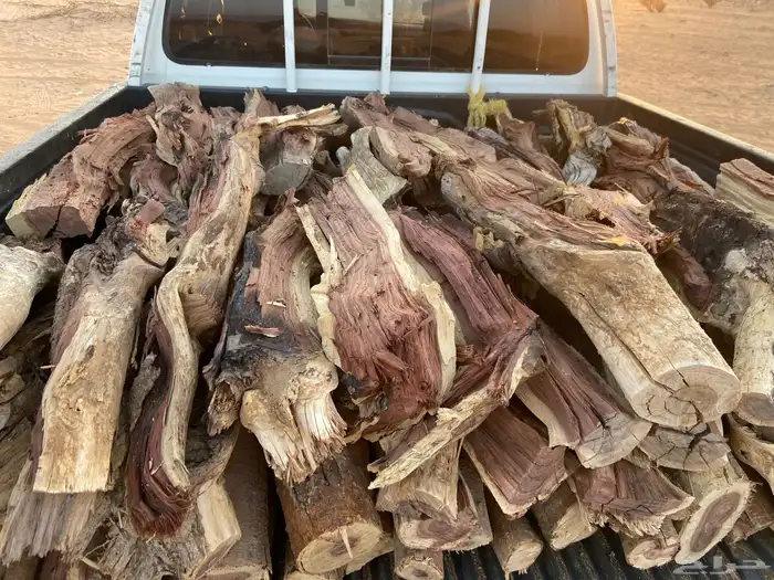 مستورد سمر 1