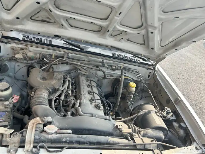 ددسن 2015قير عايدي 6