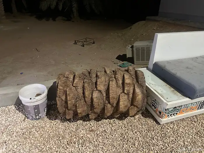 جذوع نخل زينه 3