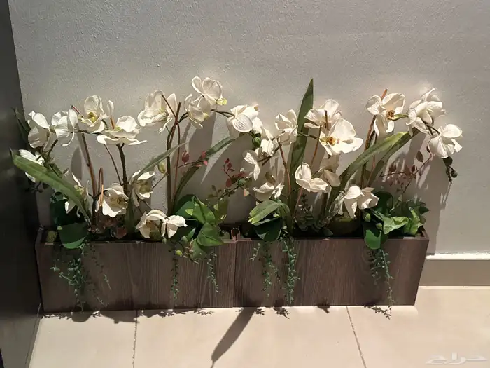 2 مراكن زرع صناعي للبيع اشتريت الحبة ب120 1